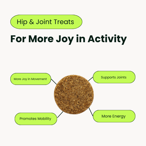 Hip & Joint Chews